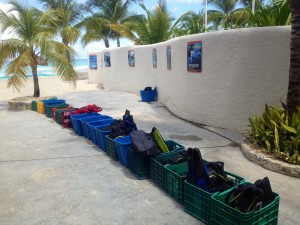 Photo-May-21-11-13-46