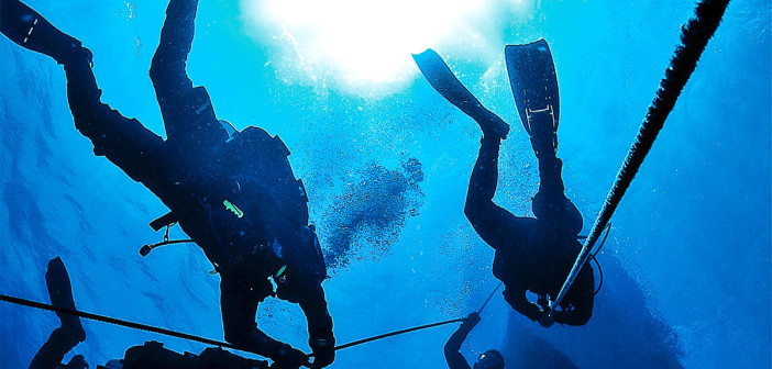 scubaprofessional-header