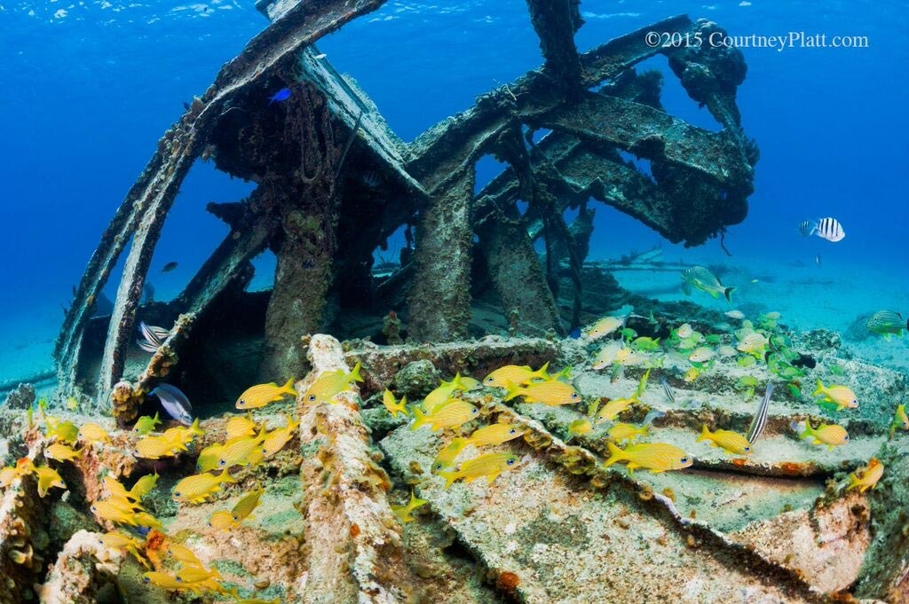 Wreck of the Balboa