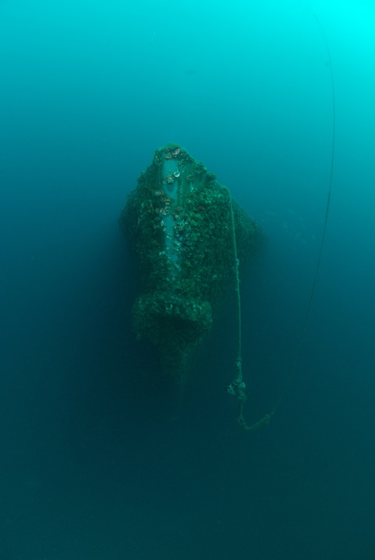 HMS Adelaide