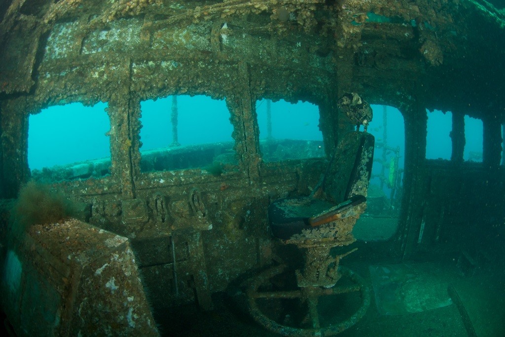 HMS Adelaide