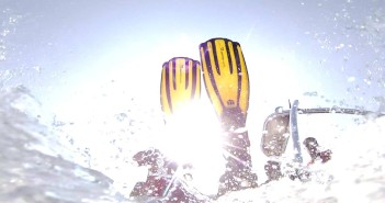 Life’s a Beach and then you Dive Life is a Beach and Then you Dive