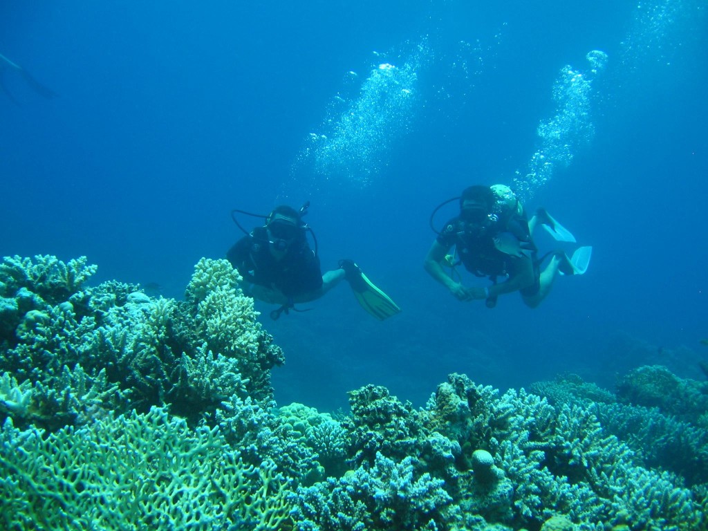 divers-lodge-osama-soliman-1