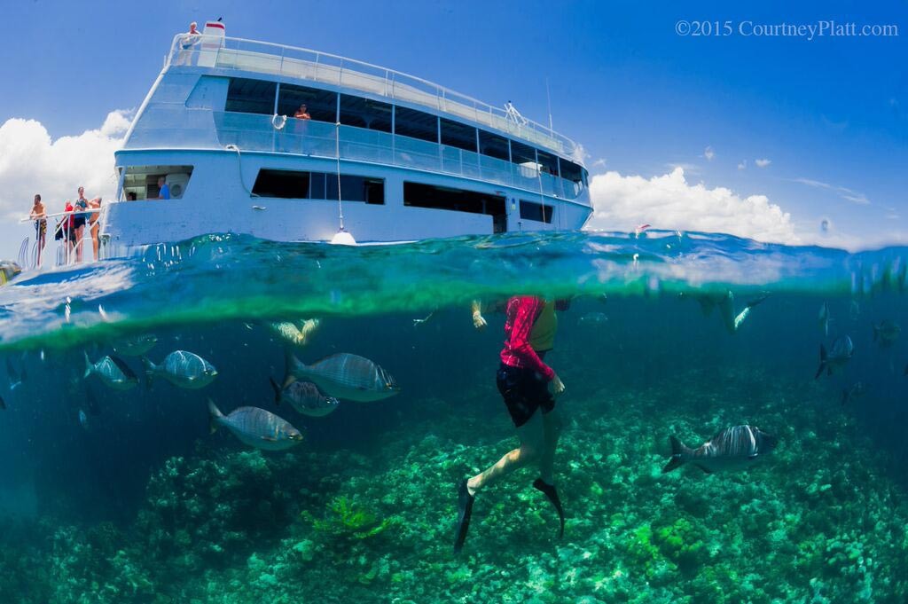 George Town Harbour is a favorite site for many watersports operators who offer excursions for cruise ship passengers