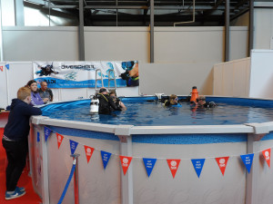 Dive 2015 - The Birmingham Dive Show Day Two