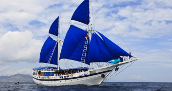 The Indo Siren is back in Raja Ampat! 3. 2 Indo Siren