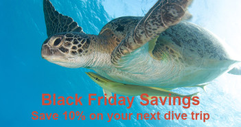 Black Friday Savings Arrive Early with Regaldive Black Friday Graphic C