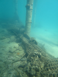 Living, Volunteering and Diving in Cambodia