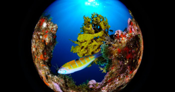 Lanzarote Winter and Spring Discounts mantadivinglanzarote