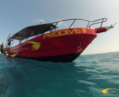 One of the Best Overall Dive Operators Award