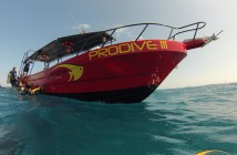 Pro Dive International - Mexico