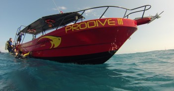 One of the Best Overall Dive Operators Award Pro Dive International - Mexico