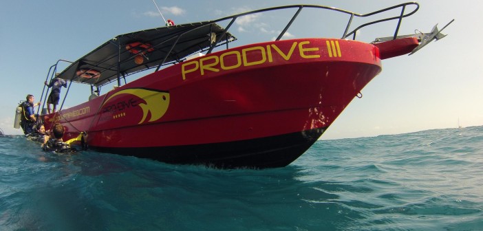 Pro Dive International - Mexico