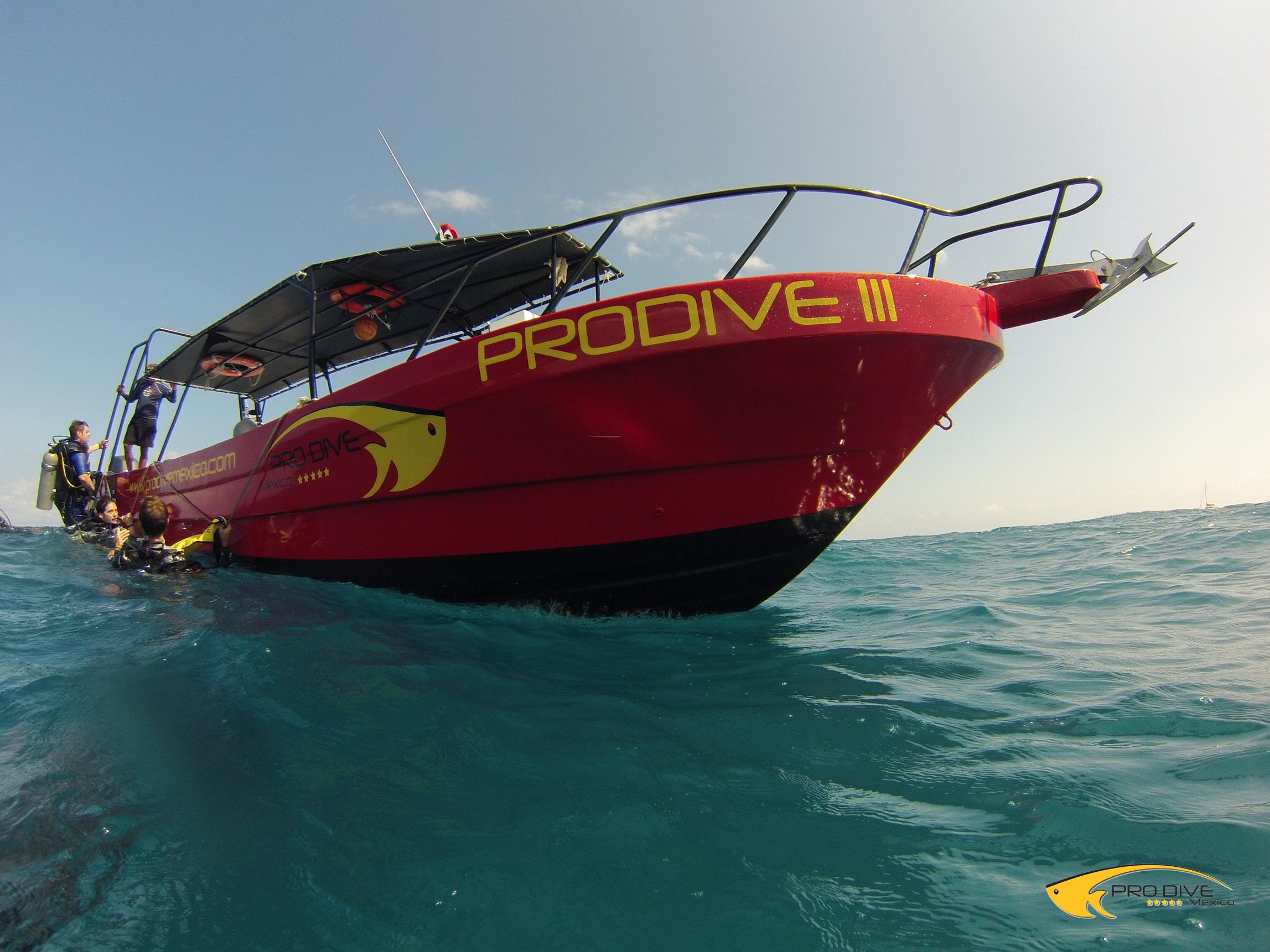 Fantastic Job Opportunities with Pro Dive International