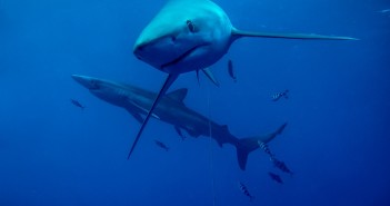 Book your latest adventure to the Azores and Save £50 Azores