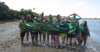 Mangrove planting with Projects Abroad