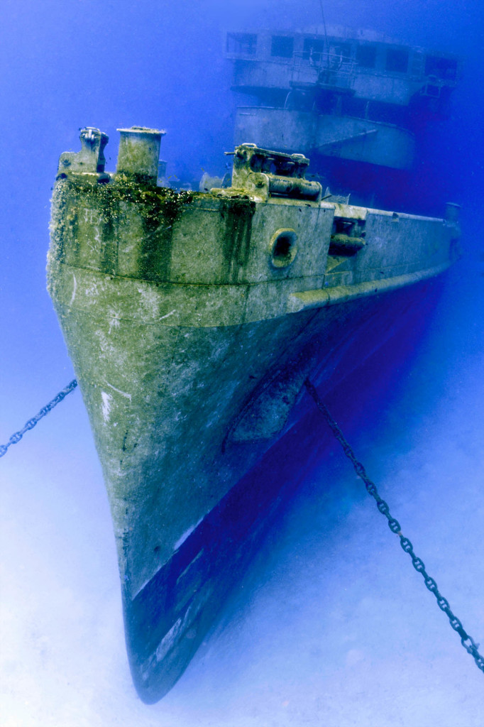 kittiwake-wreck-diving