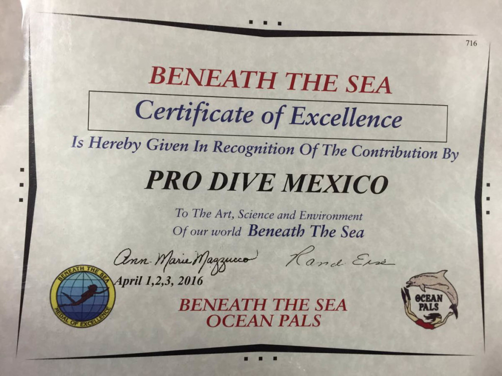 prodiveinternational-mexico-1