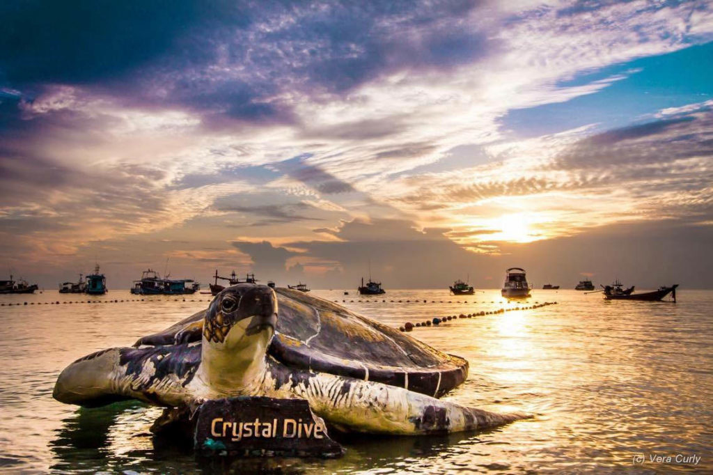 Crystal Dive Resort Invite me on board!