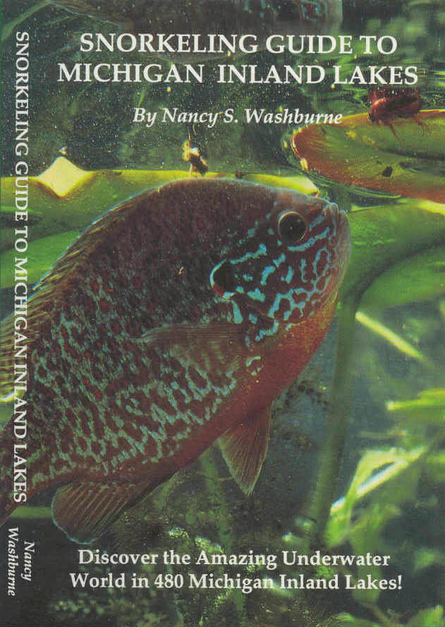 nancy-washburne-snorkelling-guide-2