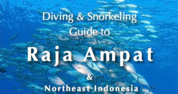 simon-pridmore-raja-ampat-header