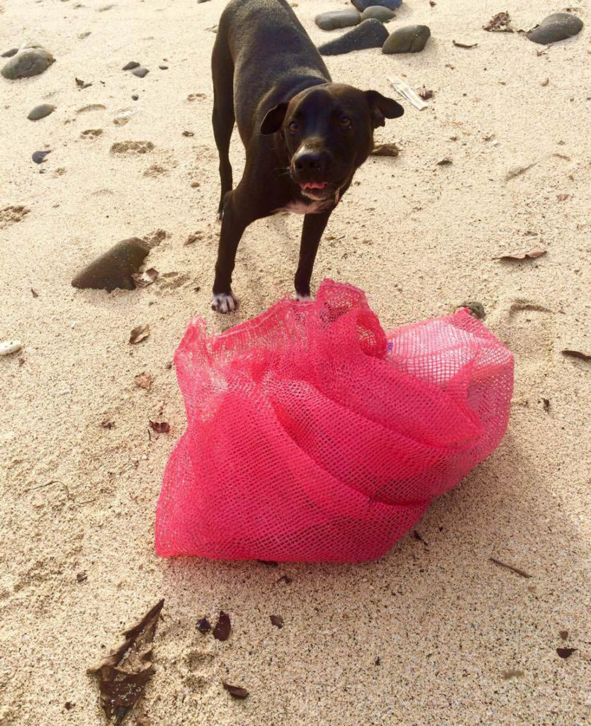 beach-clean-up-chantelle-wyatt