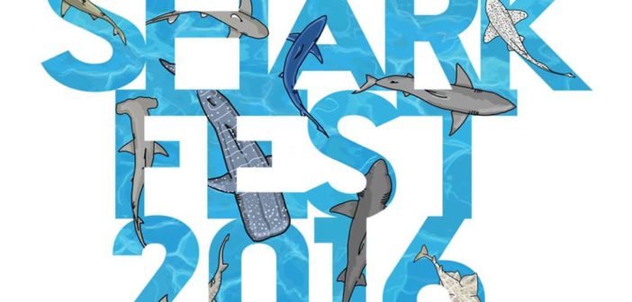 Shark Fest 2016