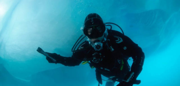 Iceberg Diving Disko Bay