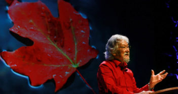 Wild Pacific salmon face an upstream battle for survival david-suzuki-1