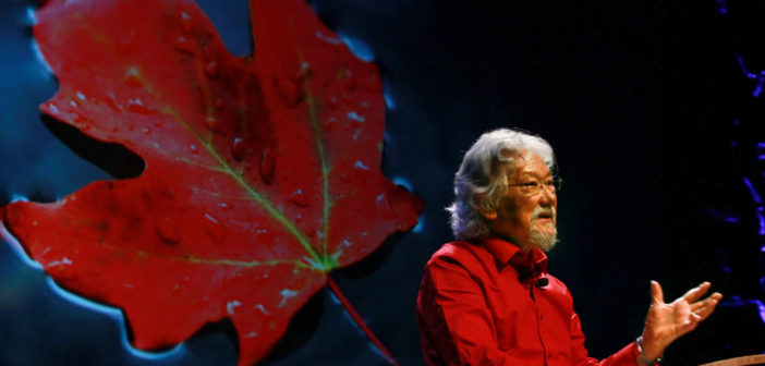 david-suzuki-1