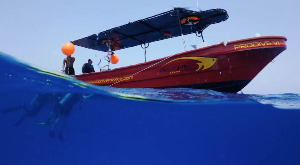 pro-dive-international-promo-video-2016-1