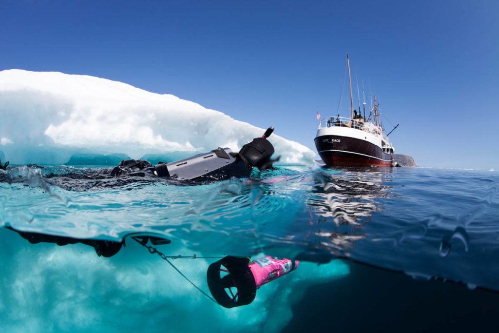 sedna-epic-1