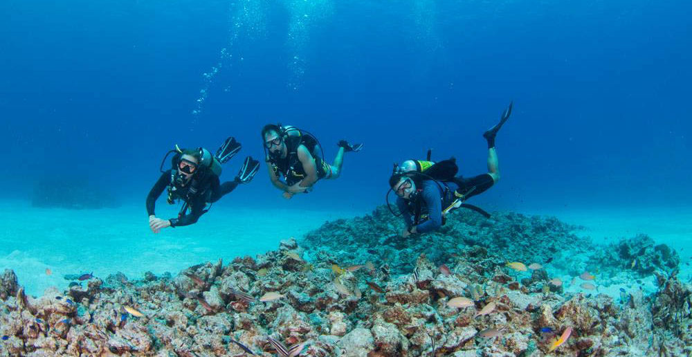 Volunteer Divers inspect the Reef Restoration Project in George Town Harbour. The heavy work is done, now maintenance must be kept up. Photo courtesy Lois Hatcher.