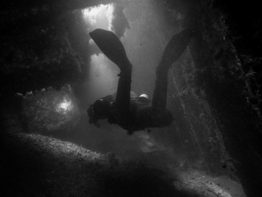 Performance Diver