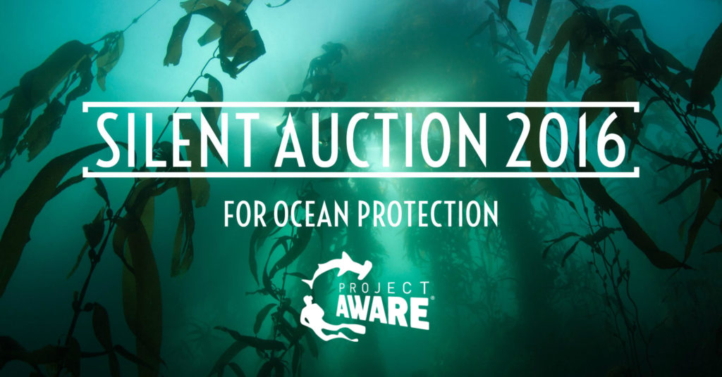 facebook-silent-auction