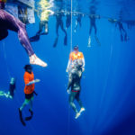 guiness-world-record-free-diving