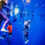 guiness-world-record-free-diving