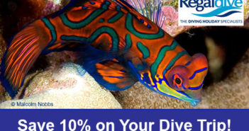 regaldive-dive2016