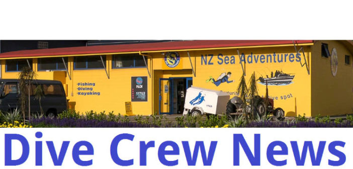 NZ Sea Adventures