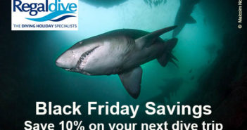 regaldive-black-friday