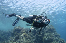 safer-diving-29-11-16