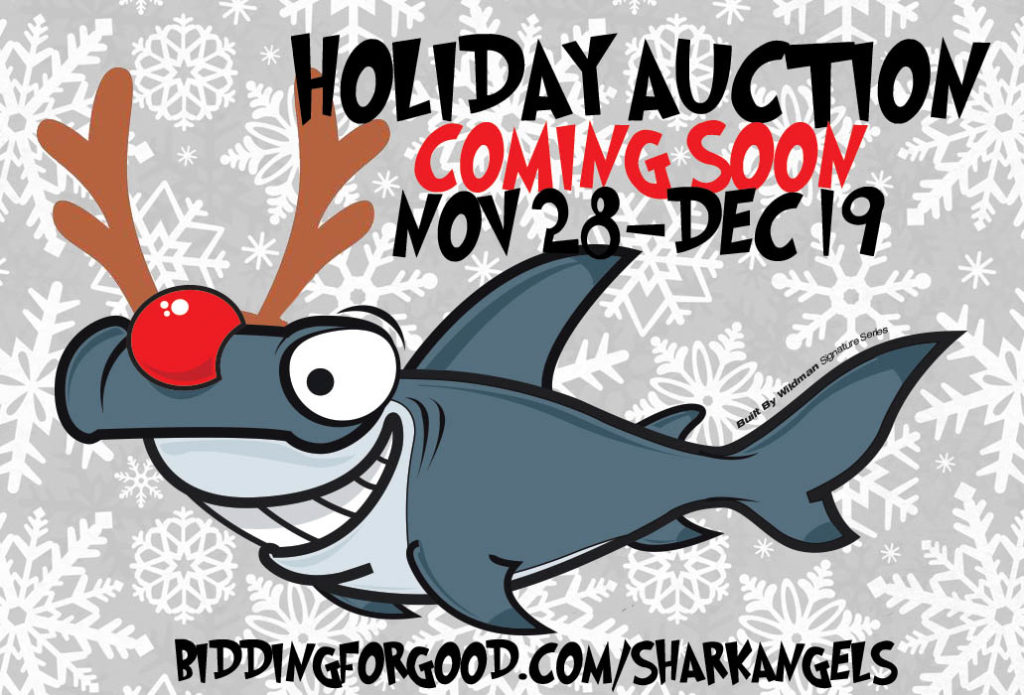 shark-angels-holiday-auction-1