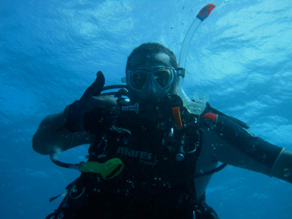 why-dive-23-11-16-1