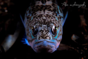 global-warming-black-sea-alex-georgescu