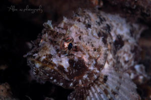 global-warming-black-sea-alex-georgescu