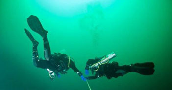 new-year-dive-nova-scotia-1