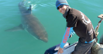 Interview with Dr Ryan Kempster, University of Western Australia Dr Ryan