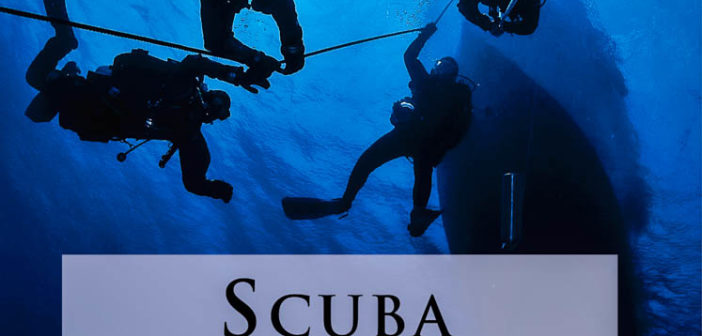 Scuba Professional