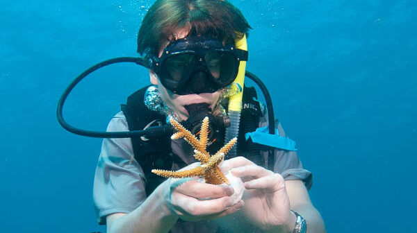 A student prepares a fragment for planting