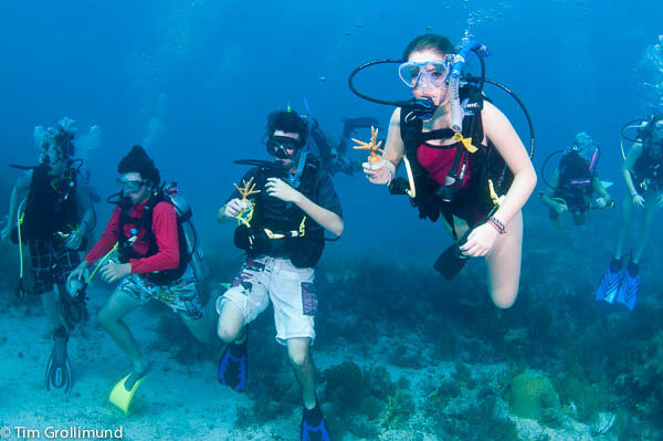 A group from the Marine Biology class from the local high school helps plant coral